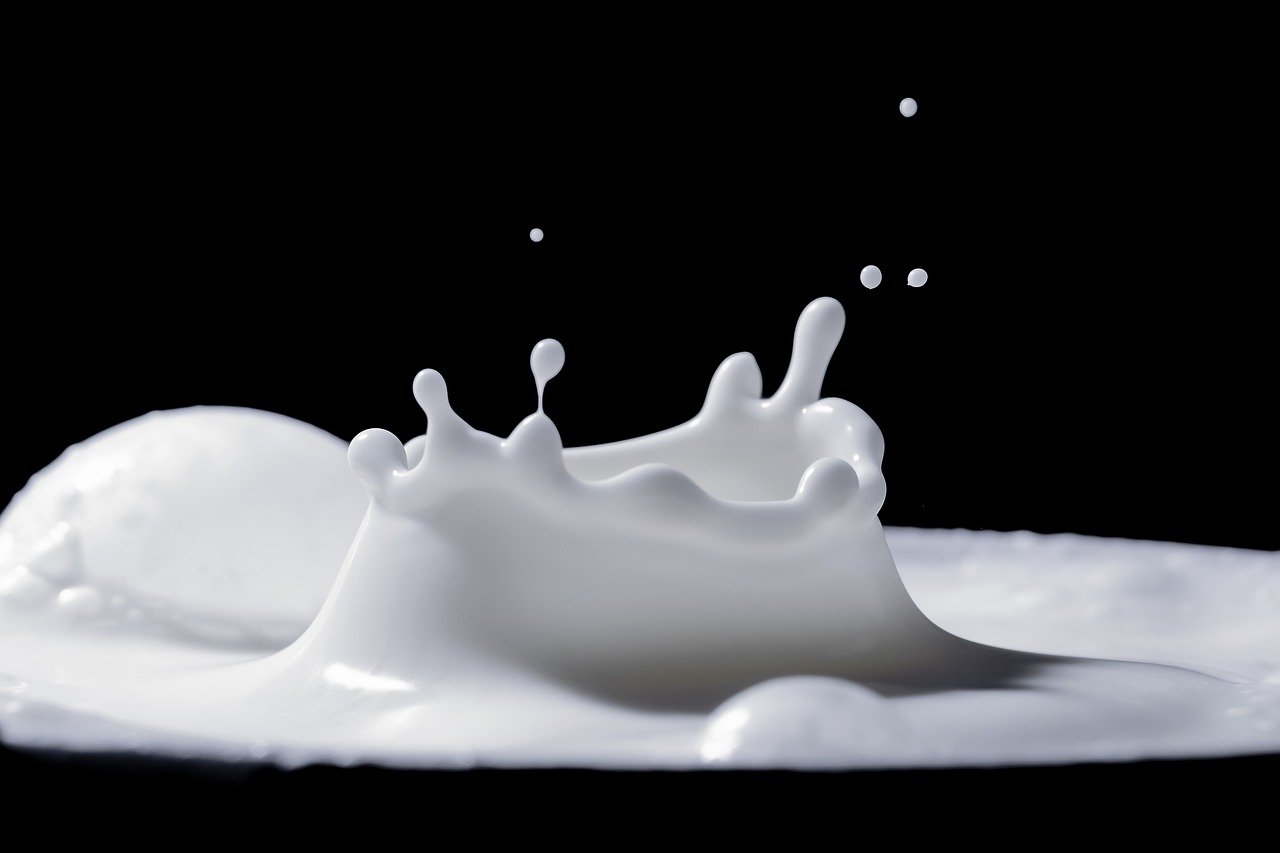 Альтернативное молоко: Фото: Myriams-Fotos Pixabay 